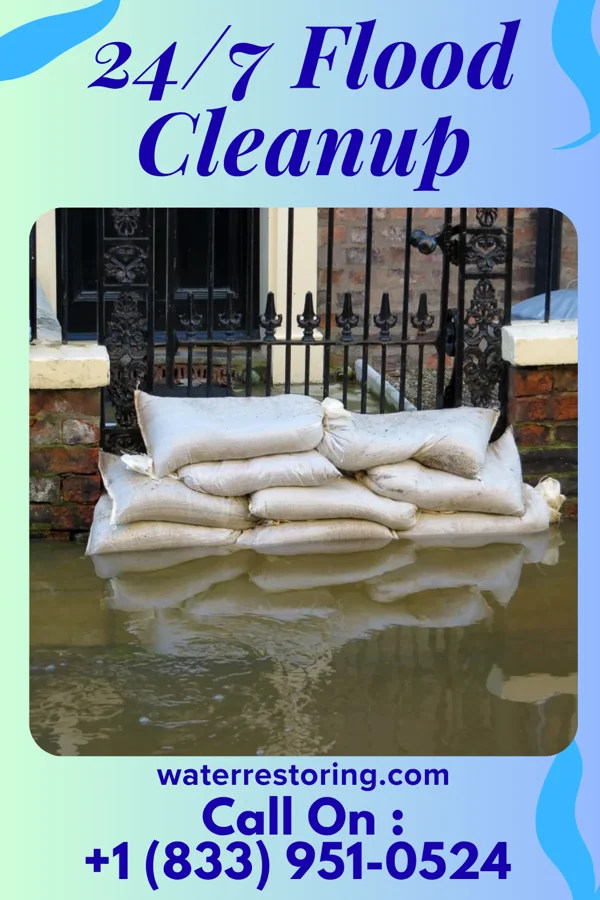 24/7 Flood Cleanup in Pease, MN