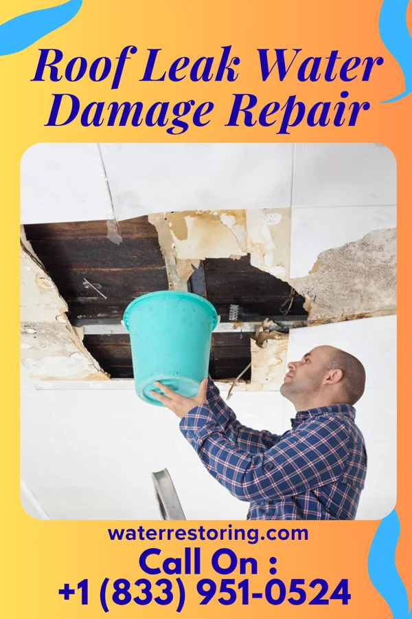 Roof Leak Water Damage Repair in Pease, MN