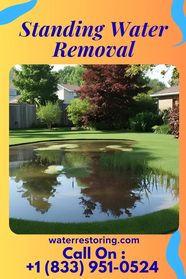 Standing Water Removal in Pease, MN